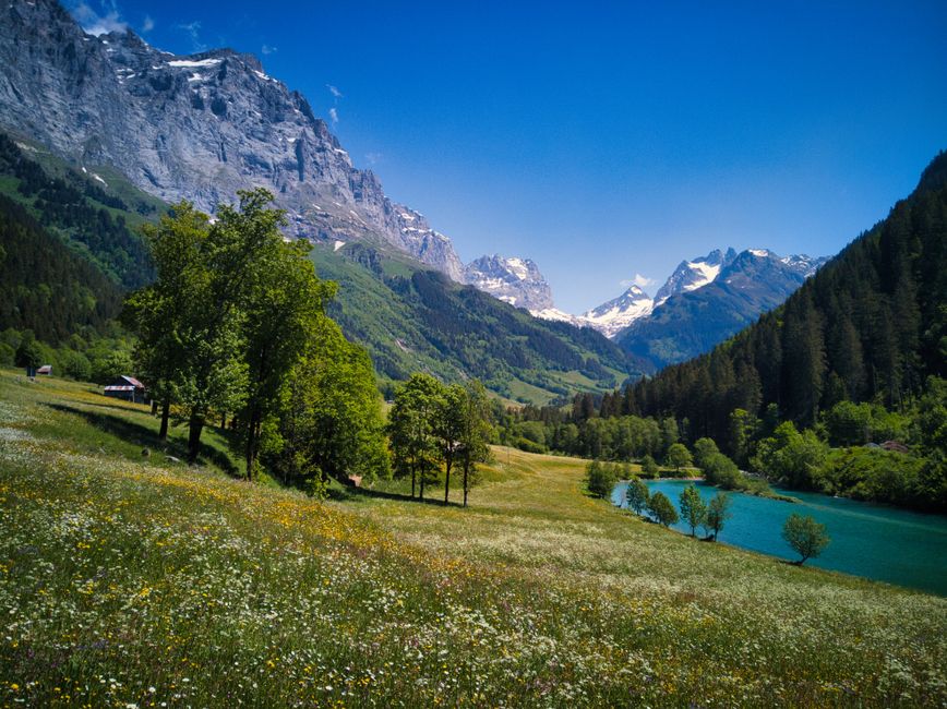 Explore the stunning valley with meadows, mountains, and a serene river under a vibrant summer sky.